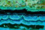 Polished Chrysocolla and Malachite - Bagdad Mine, Arizona #146469-1